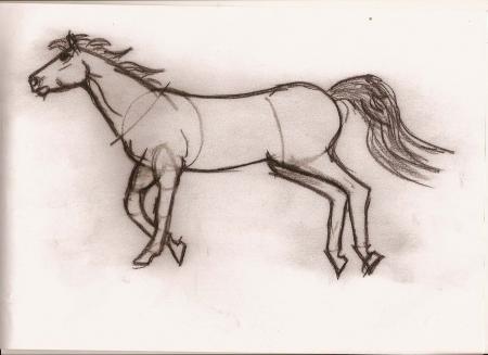 petit galop 2
